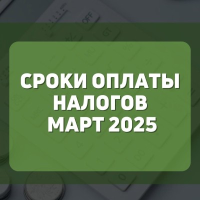 Сроки оплаты налогов март 2025
