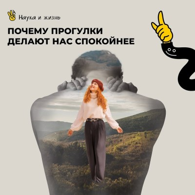 Почему прогулки делают нас спокойнее?