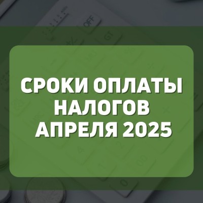 Сроки оплаты налогов апрель 2025