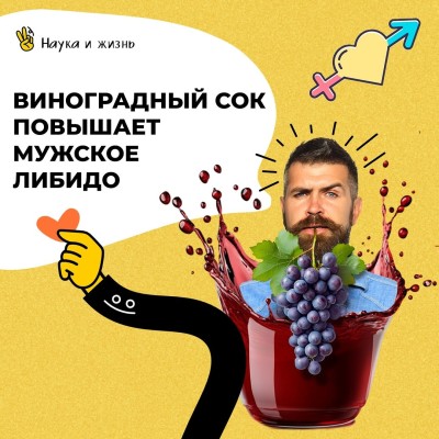 Виноградный сок повышает мужское либидо