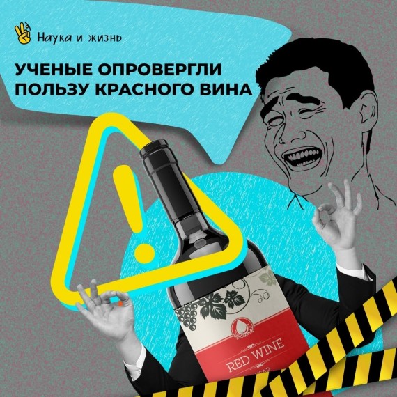 Ученые опровергли пользу красного вина