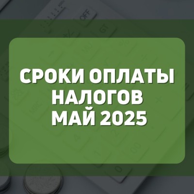 Сроки оплаты налогов май 2025