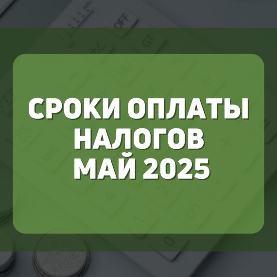 Сроки оплаты налогов май 2025