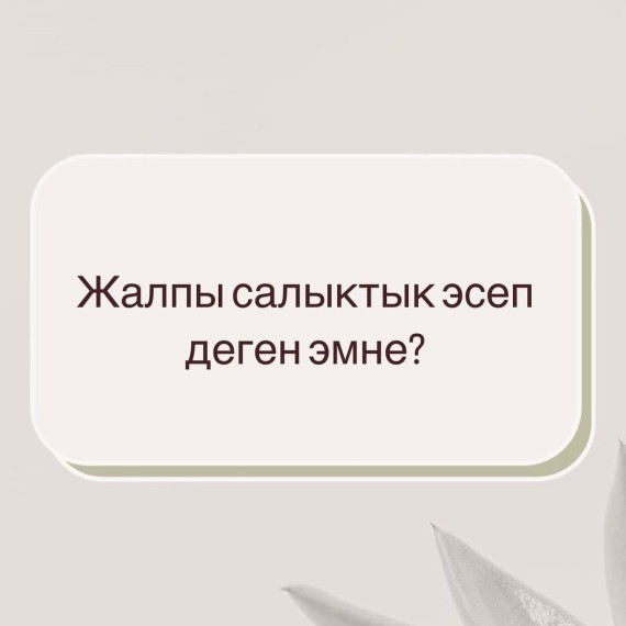 Жалпы салыктык эсеп деген эмне?
