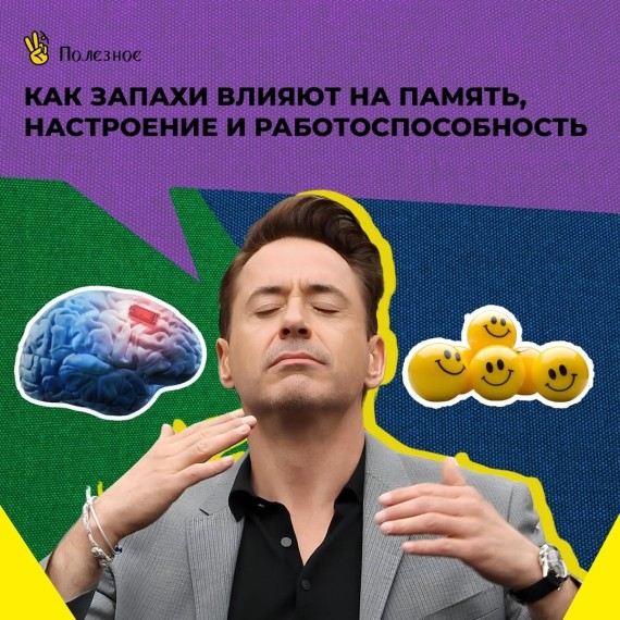 Как запахи влияют на память, настроение и работоспособность