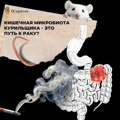 Кишечная микробиота курильщика - это путь к раку?