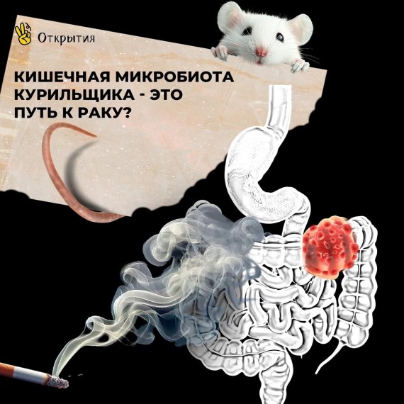 Кишечная микробиота курильщика - это путь к раку?