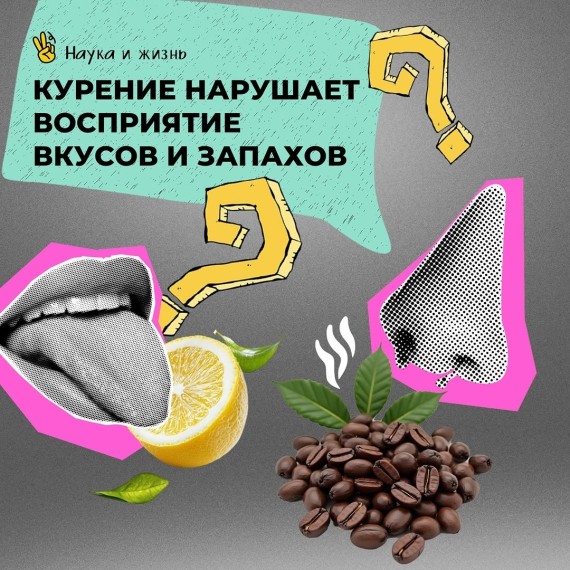 Как курение влияет на вкус и запах?