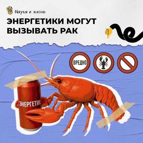 Могут ли энергетики вызвать рак?
