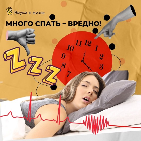 Много спать - вредно!