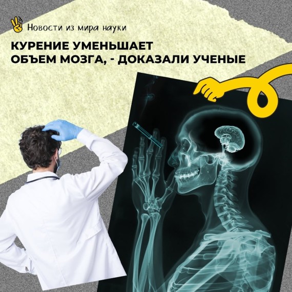 Курение уменьшает объем мозга, доказали ученые