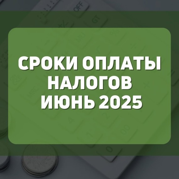 Сроки оплаты налогов июнь 2025