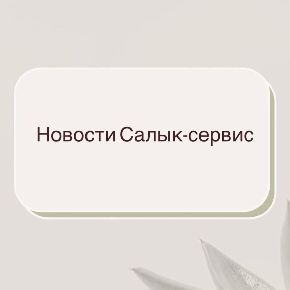Обновление налогового приложения "Салык-сервис"