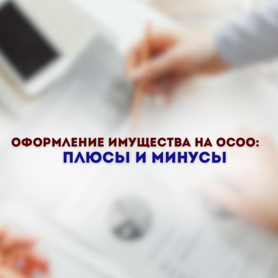 Оформление имущества на ОсОО: Плюсы и минусы