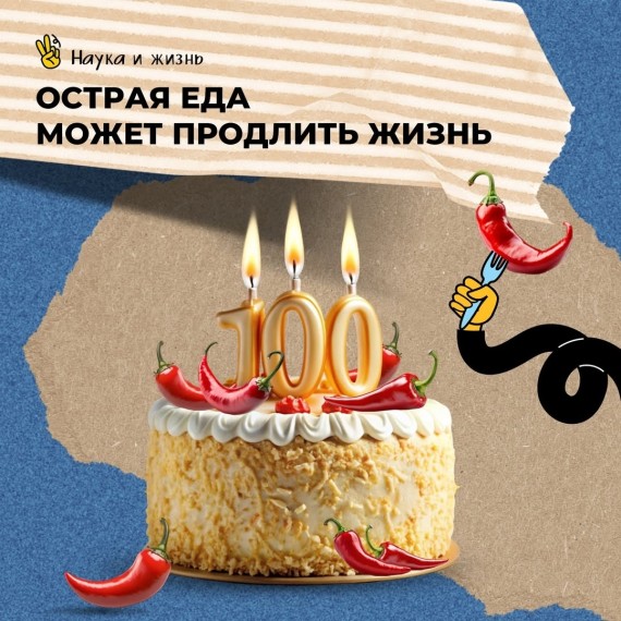 Острая еда может продлить жизнь