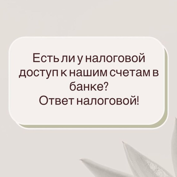 Есть ли у налоговой доступ к нашим счетам в банке?