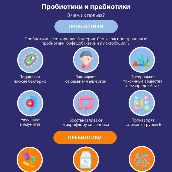 Пребиотики и пробиотики: в чём разница и как они помогают