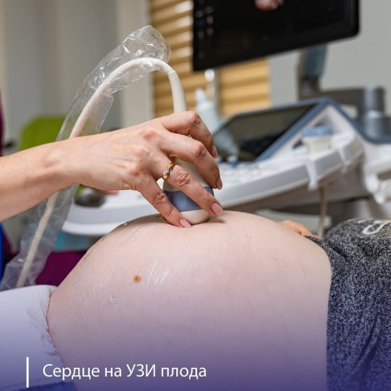 Сердце на УЗИ плода