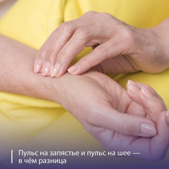  Пульс на запястье и пульс на шее — в чём разница?
