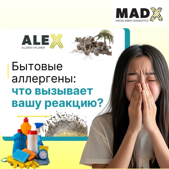 Бытовые аллергены: что вызывает вашу реакцию?