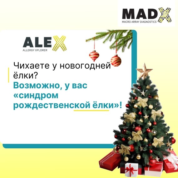 Чихаете у новогодней елки? Возможно у вас "Синдром рождественской елки"