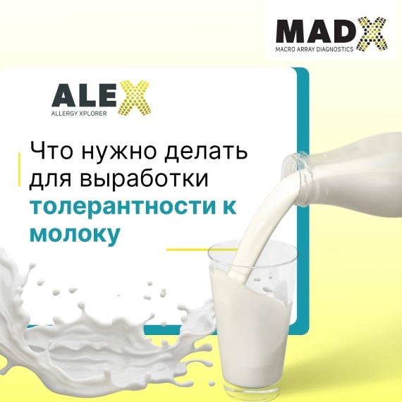 Что нужно делать для выработки толерантности к молоку?