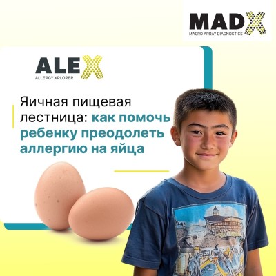 Яичная пищевая лестница: как помочь ребенку преодолеть аллергию на яйца?