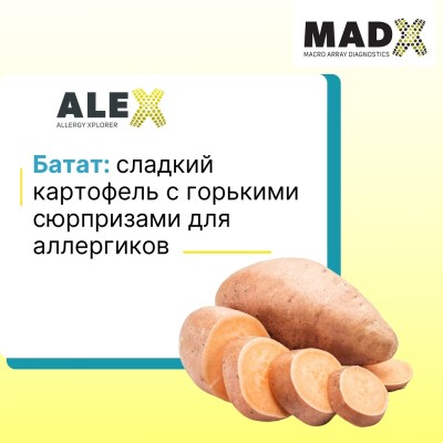 Батат: cладкий картофель с горькими сюрпризами для аллергиков