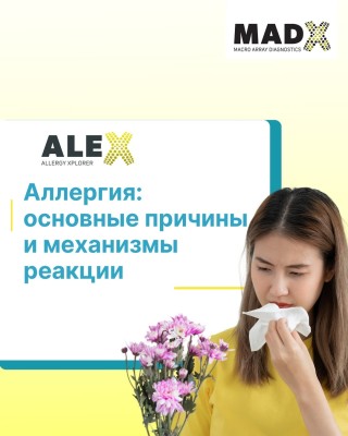 Аллергия: основные причины и механизмы реакции