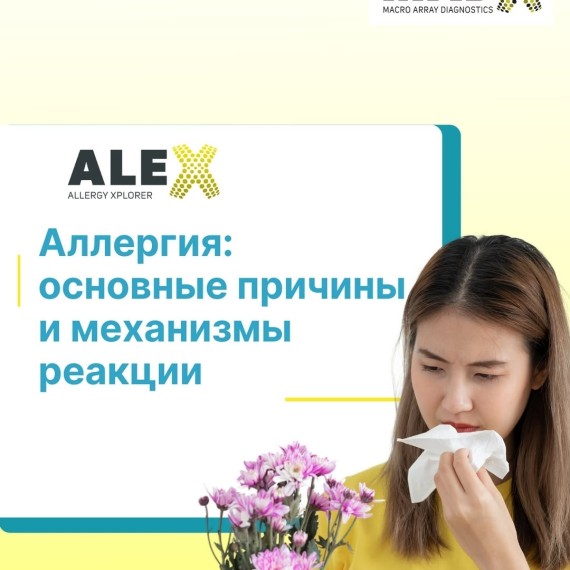 Аллергия: основные причины и механизмы реакции