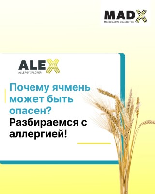 Почему ячмень может быть опасен?