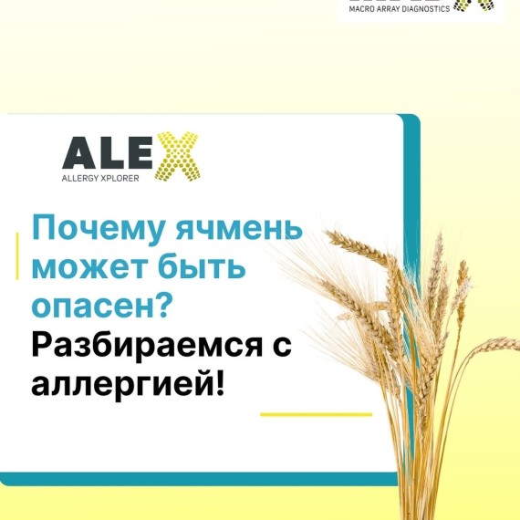 Почему ячмень может быть опасен?