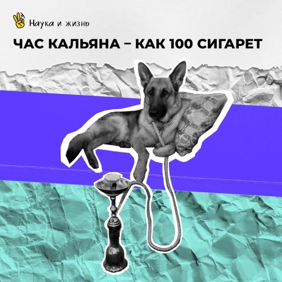 Час кальяна - как 100 сигарет