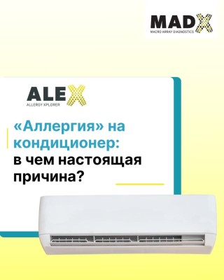 Аллергия на кондиционер: в чем настоящая причина?