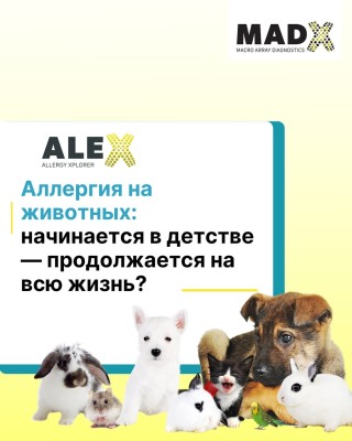 Аллергия на животных - на всю жизнь?