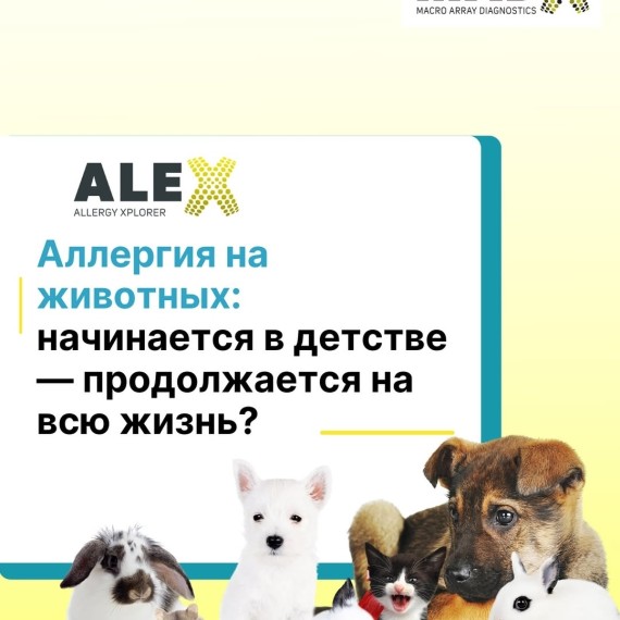 Аллергия на животных - на всю жизнь?