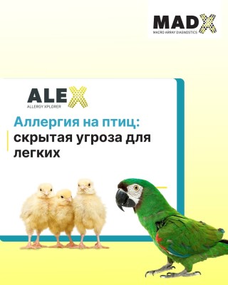 Аллергия на птиц: cкрытая угроза для легких