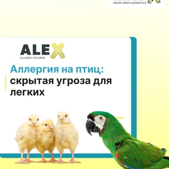 Аллергия на птиц: cкрытая угроза для легких
