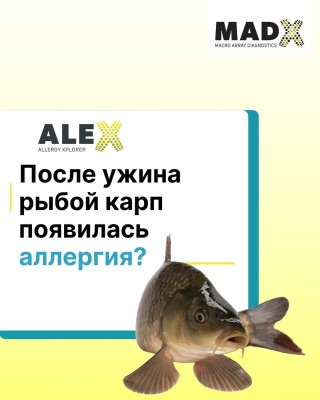 После ужина рыбой карп появилась аллергия?