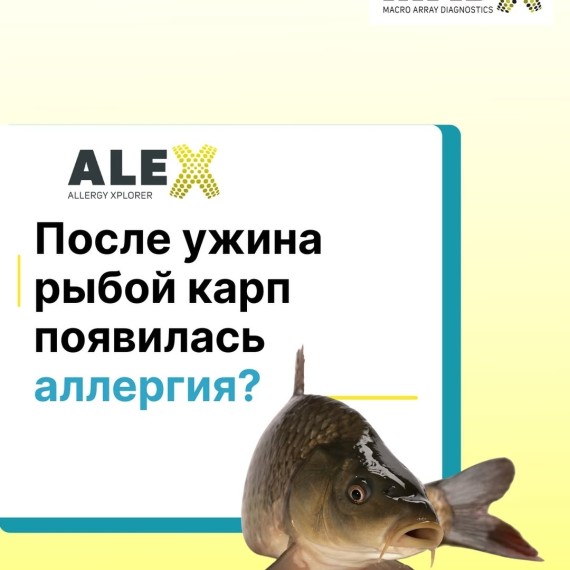 После ужина рыбой карп появилась аллергия?