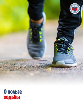 О пользе ходьбы