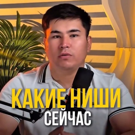 Какие ниши сейчас заходят на WB? 