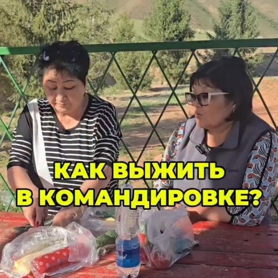 Сколько составляет размер суточных?