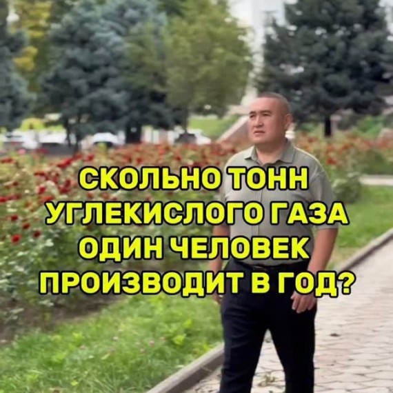 Углеродный след. Как бороться и на что влияет?