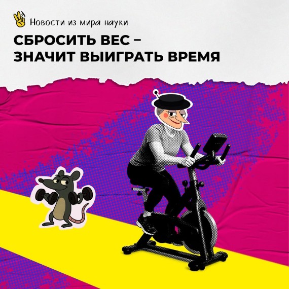 Сбросить вес - значит выиграть время