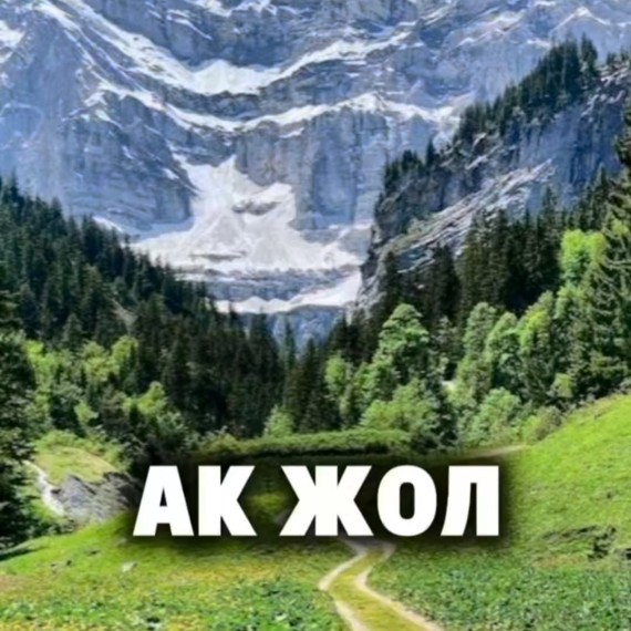 Какие значения у слова "ак"?