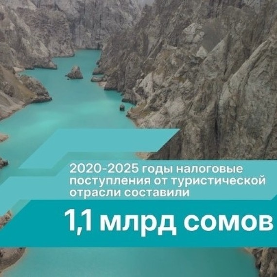 Налоговые поступления от туристической отрасли за 5 лет