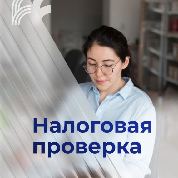 Налоговая проверка! Что делать?