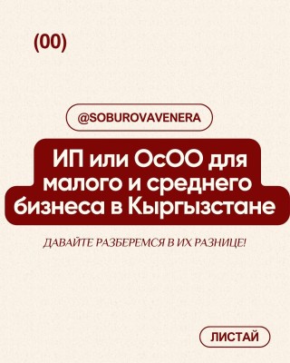 ИП или ОсОО для малого и среднего бизнеса в Кыргызстане. Разница!
