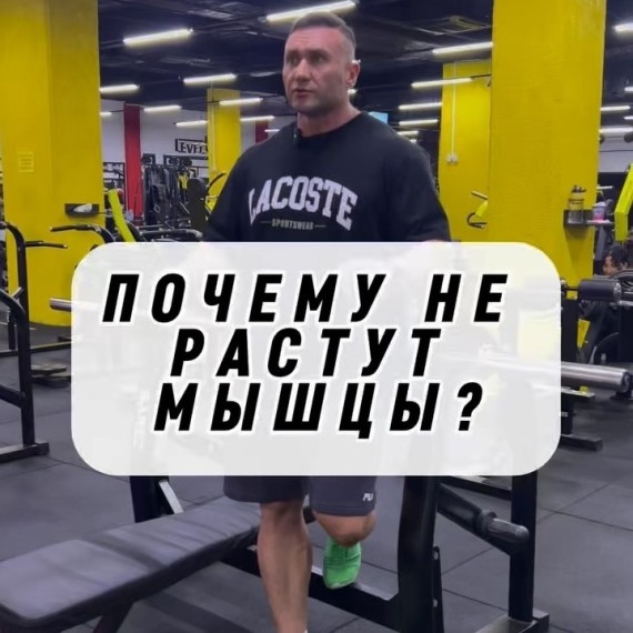Почему не растут мышцы?